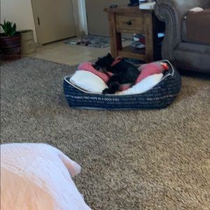 Meet your Posher, Donna